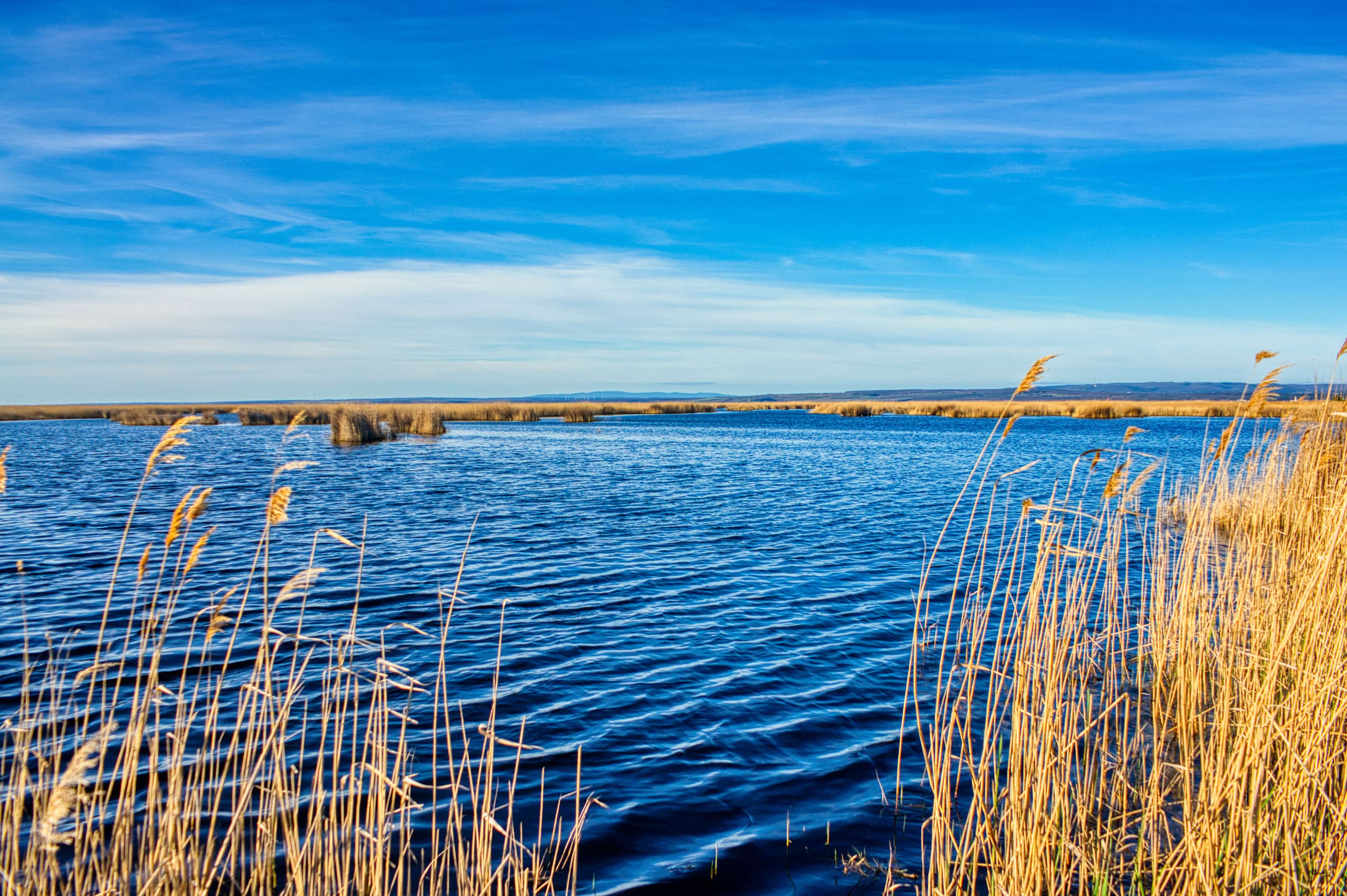 FREITAG IMMO – Immobilien am Neusiedlersee